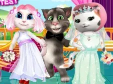 White Kittens Bride Contest